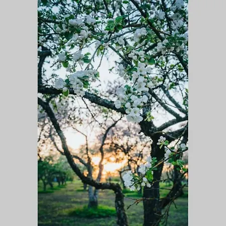 Guest House Lilac In Apple Tree Park Nakotne Exterior photo