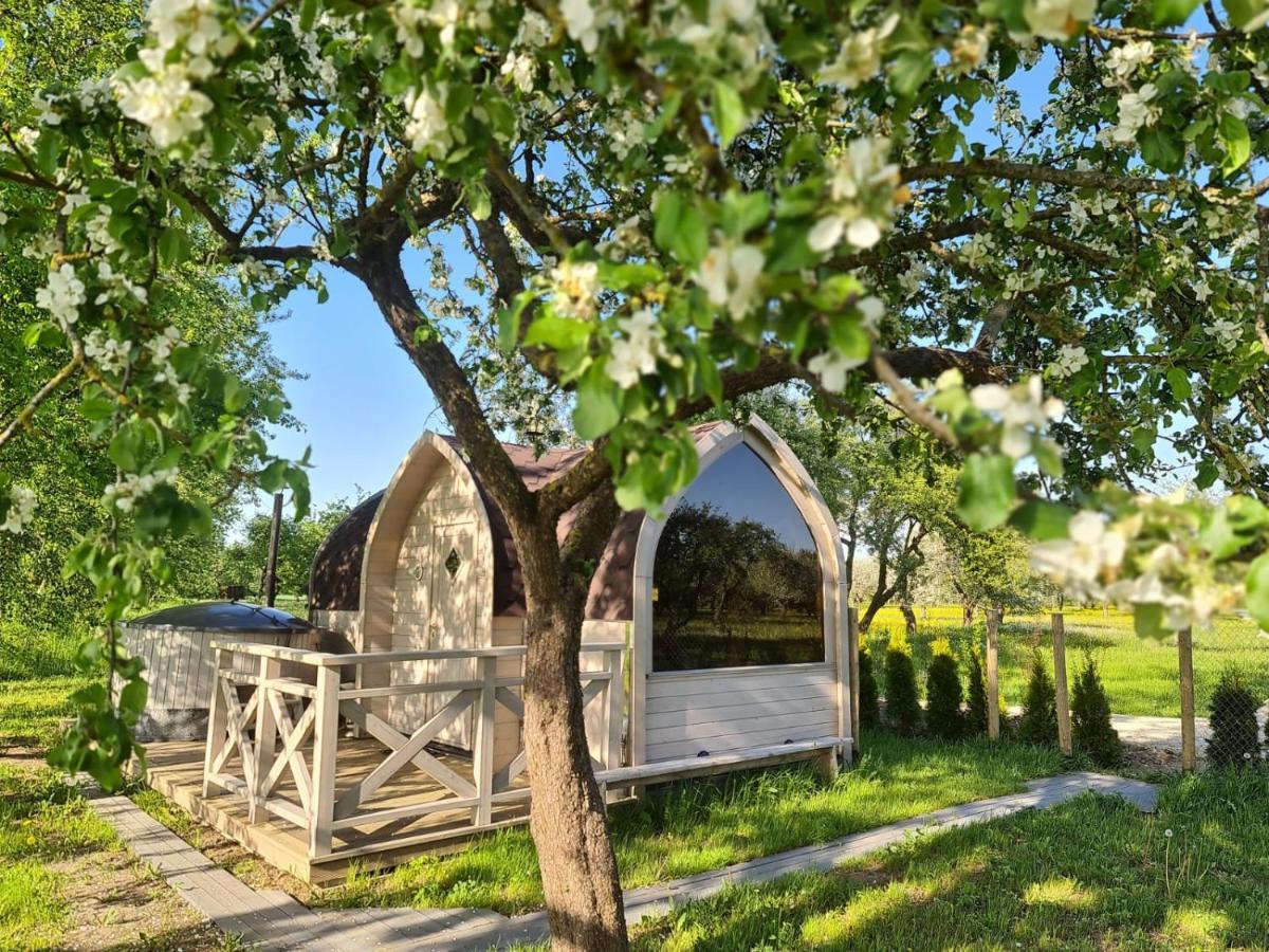 Lilac In Apple Tree Park Holiday home Nakotne